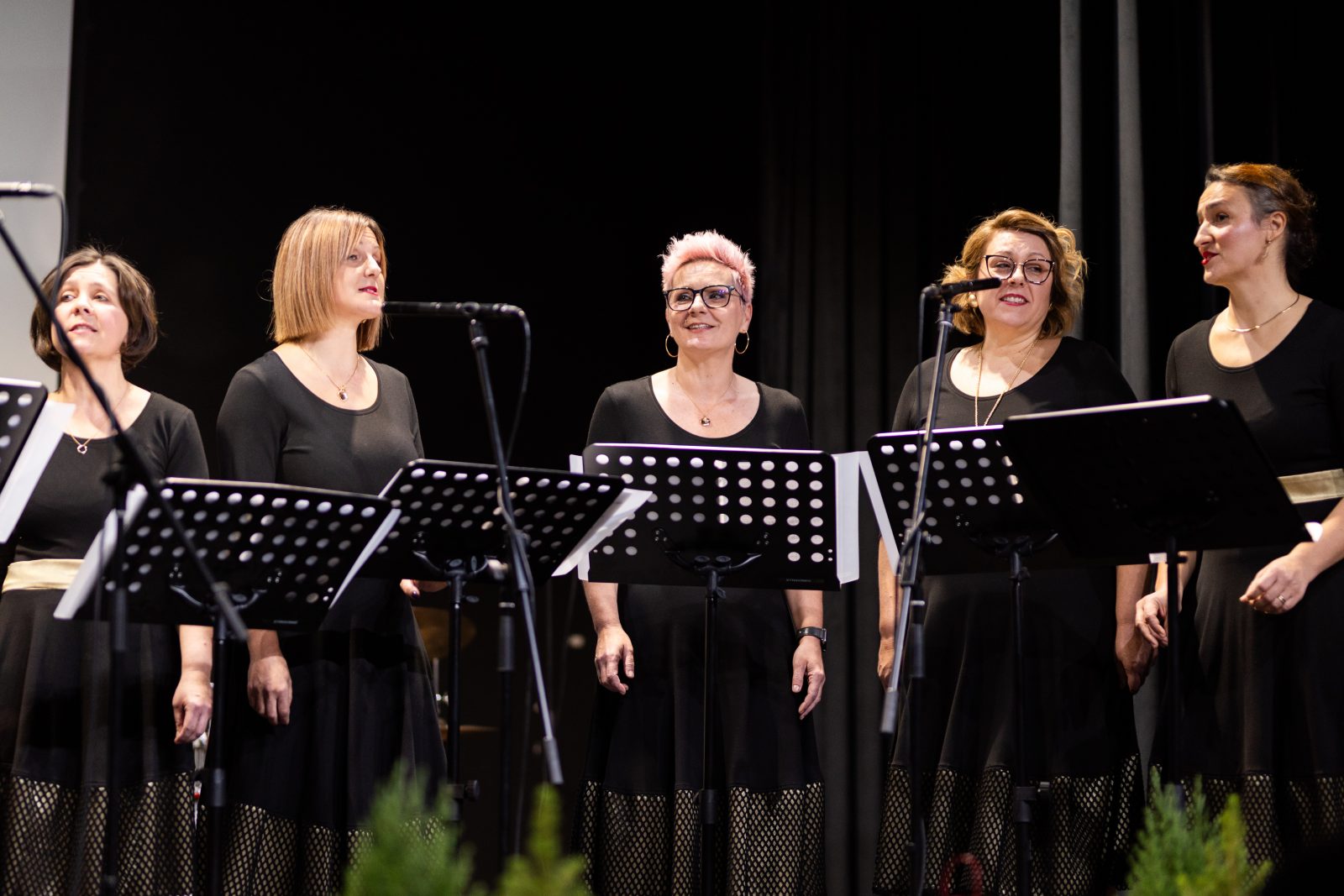 Rođendanski koncert ŽVS Stridonne
