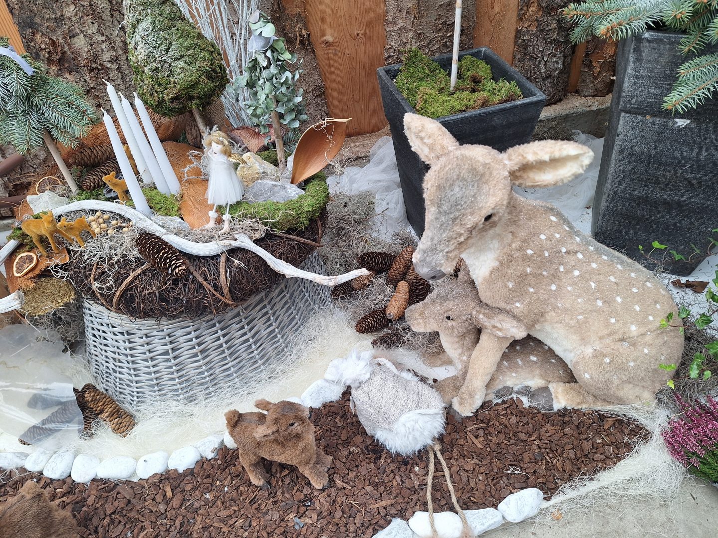 Vrtlarija Vijenac