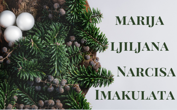Imendan danas slave Marija, Imakulata, Ljiljana i Narcisa