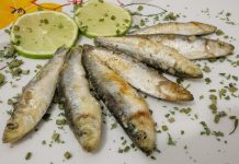 sardine-free
