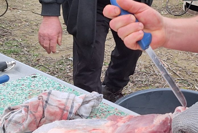 Nož za kolinje virio mu iz džepa