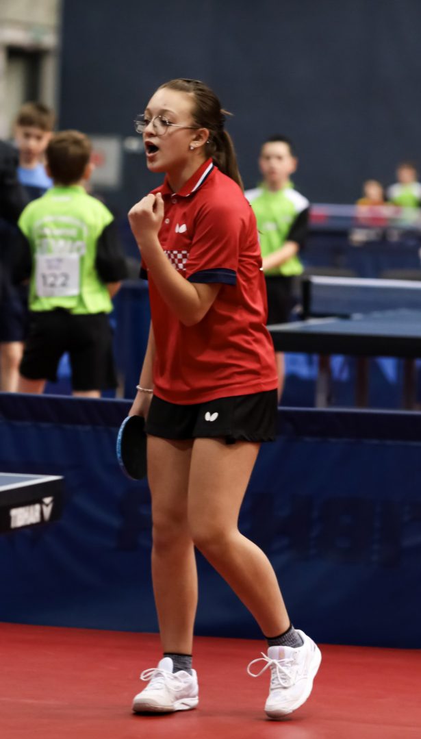 stolni tenis