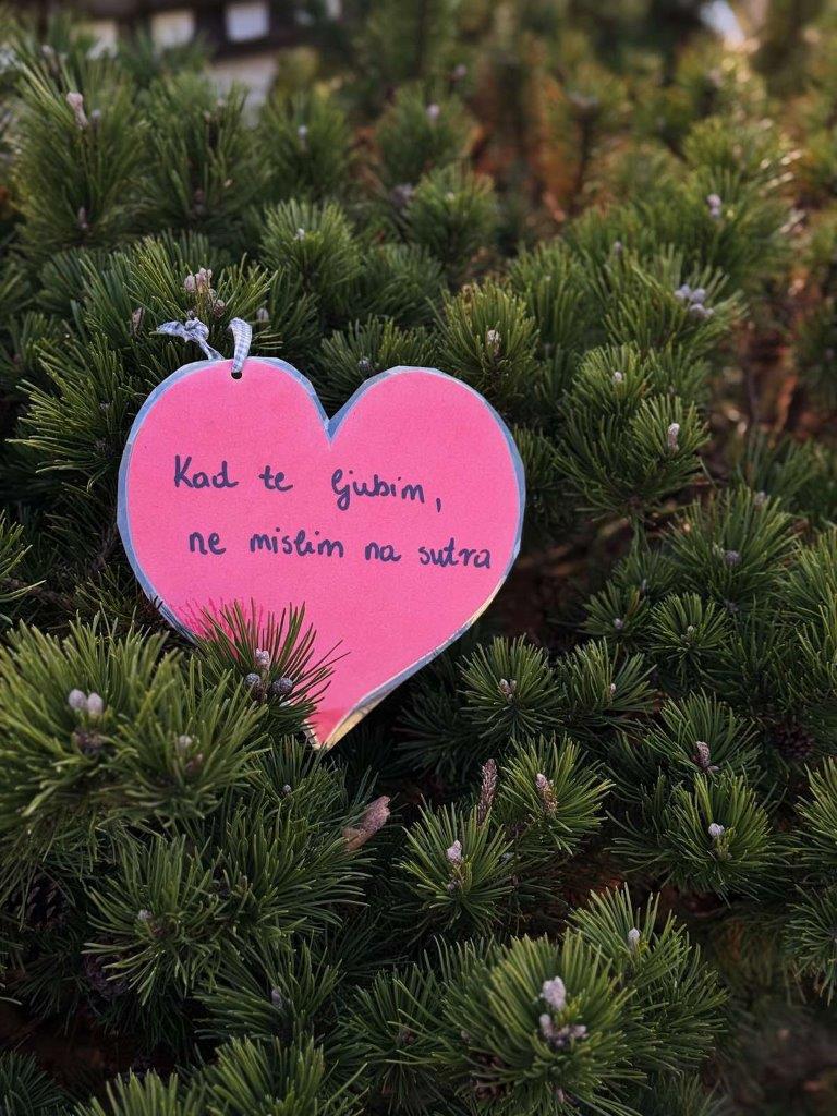 Ukrasi za Valentinovo u Donjoj Dubravi 2