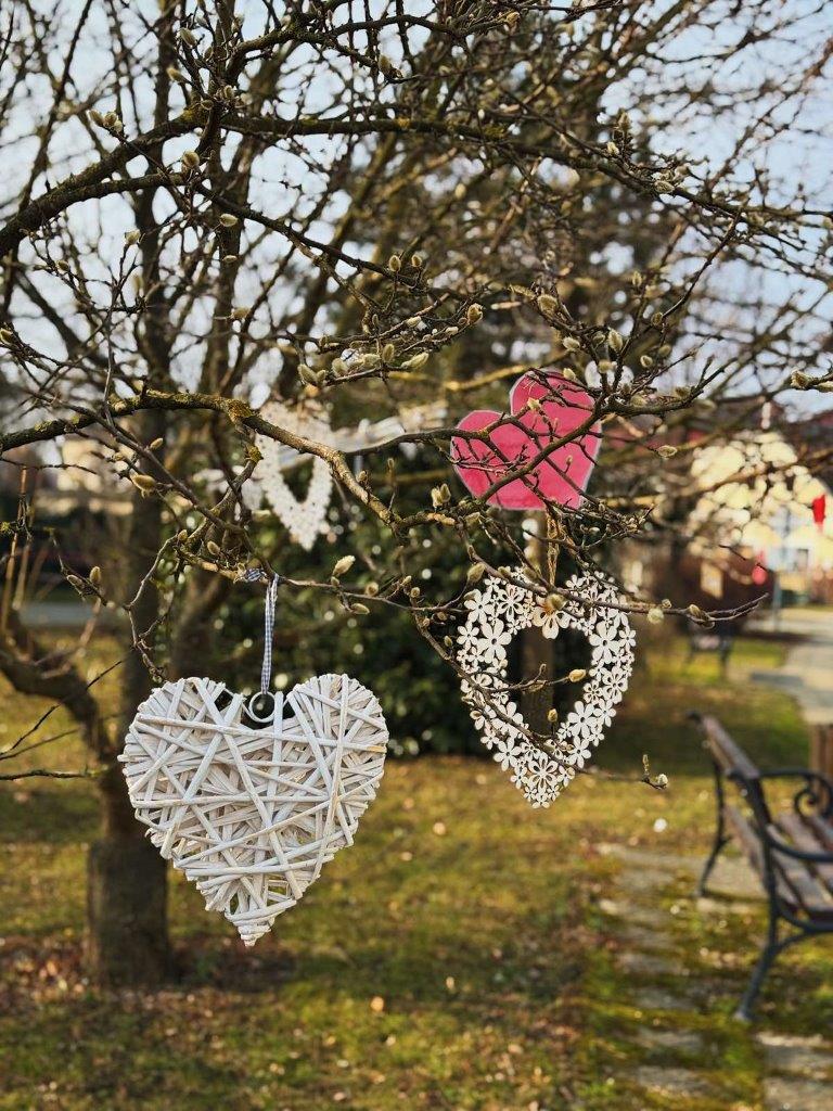 Ukrasi za Valentinovo u Donjoj Dubravi 7