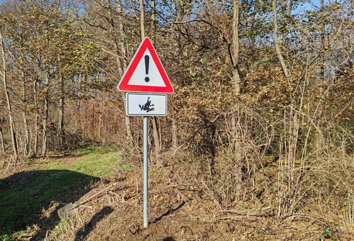 Ova se cesta zatvara na 10 dana kako bi se spasili vodozemci!