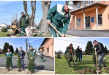 Nedelišće u zelenom ruhu: 537 novih sadnica za ljepši i zdraviji okoliš
