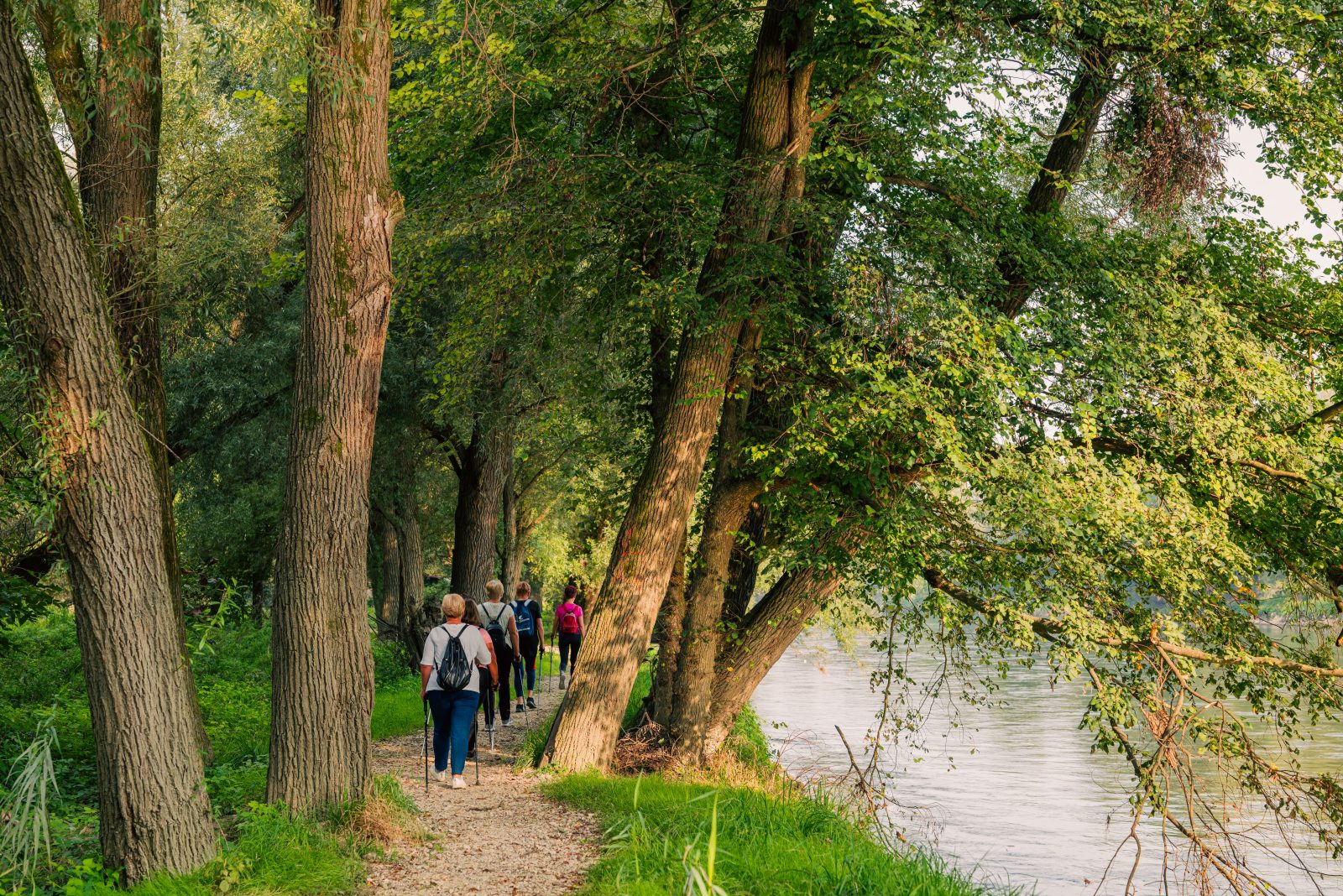 Camino ruta Međimurje