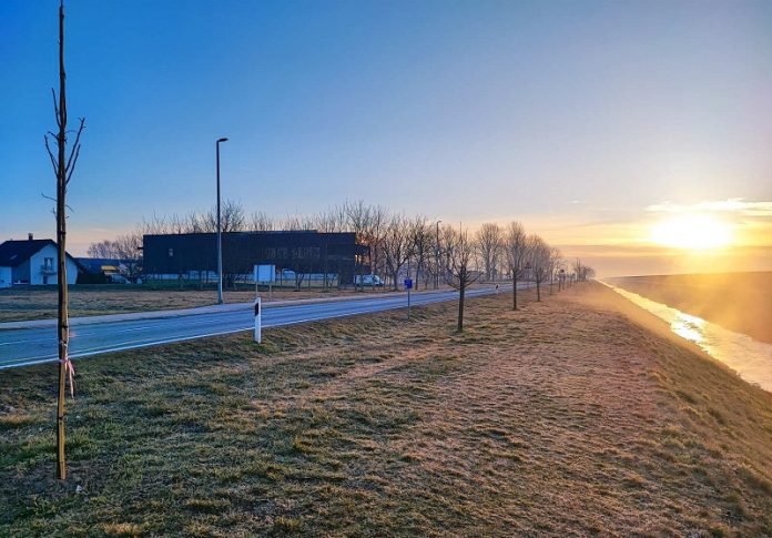 Prelog nova posađena drva - KTC d.d. donacija