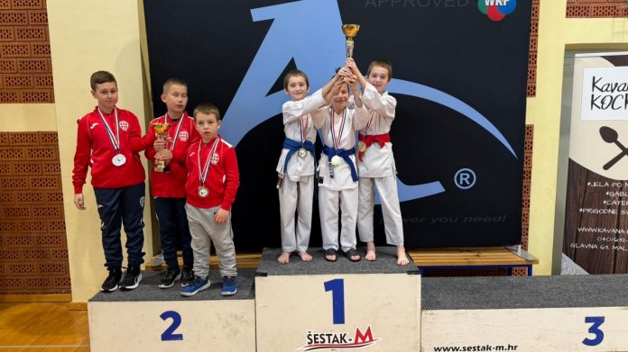 Protekle subote u sportskoj dvorani Osnovne škole u Maloj Subotici održano je 19. izdanje međunarodnog karate turnira Cro Cup.