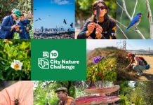 City Nature Challenge Prelog 2025
