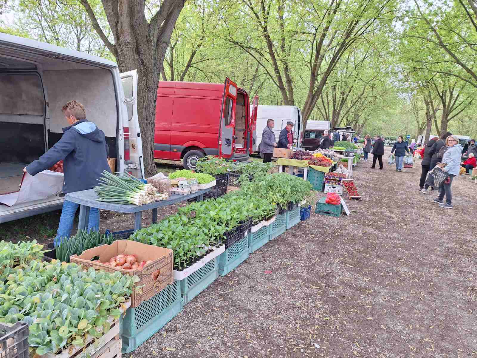 Čakovečki sajam srijedom 23.4.