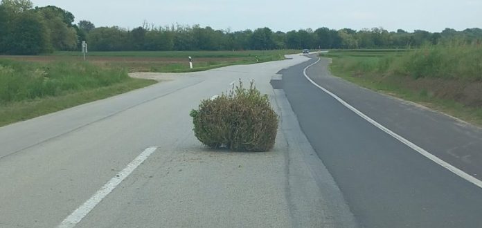 Grm u Murskom Središću
