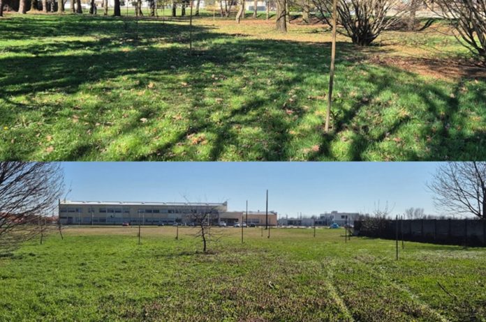 Vandali poharali park u Pribislavcu: Nestalo 40 sadnica nordijske jele, uništeni i drugi nasadi