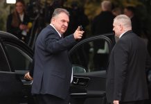 radimir čačić
