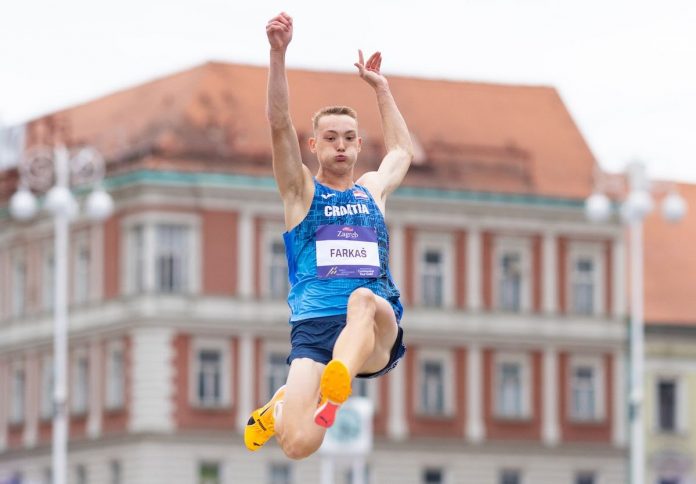 Roko Farkaš