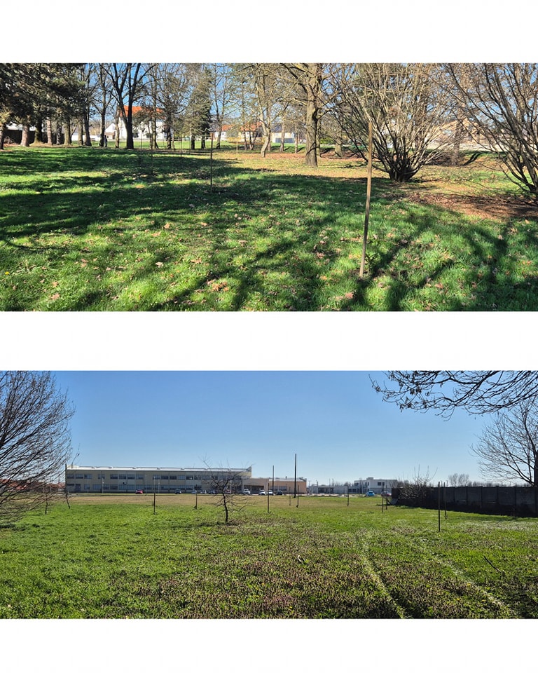 Vandali poharali park u Pribislavcu: Nestalo 40 sadnica nordijske jele, uništeni i drugi nasadi