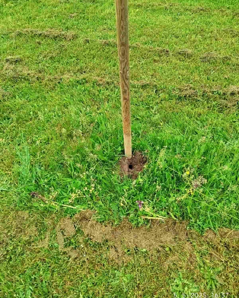 Vandali poharali park u Pribislavcu: Nestalo 40 sadnica nordijske jele, uništeni i drugi nasadi