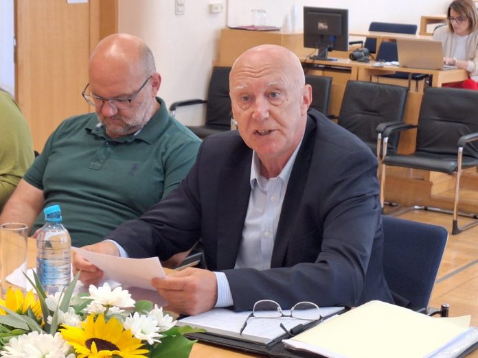 Ivan Sinković, HZZO