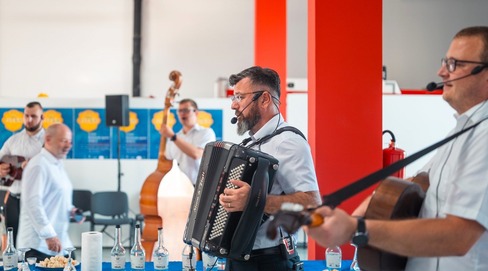 glazbenici, živa muzika