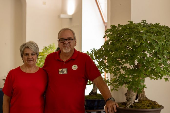 Bonsai izložba u sklopu Porcijunkulova 2025