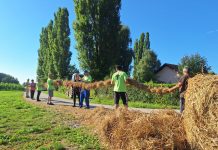 Selnički pikač - izrada