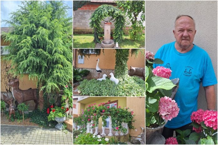 ivica dodlek vrt