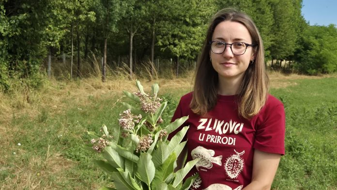 Ivana Horvat - prava svilenica - foto Roberta Radovic