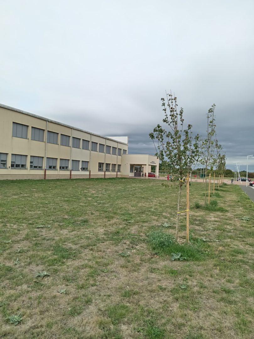 OŠ Pribislavec ozelenjivanje