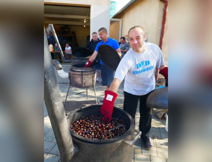 Kestenijada u Strahonincu
