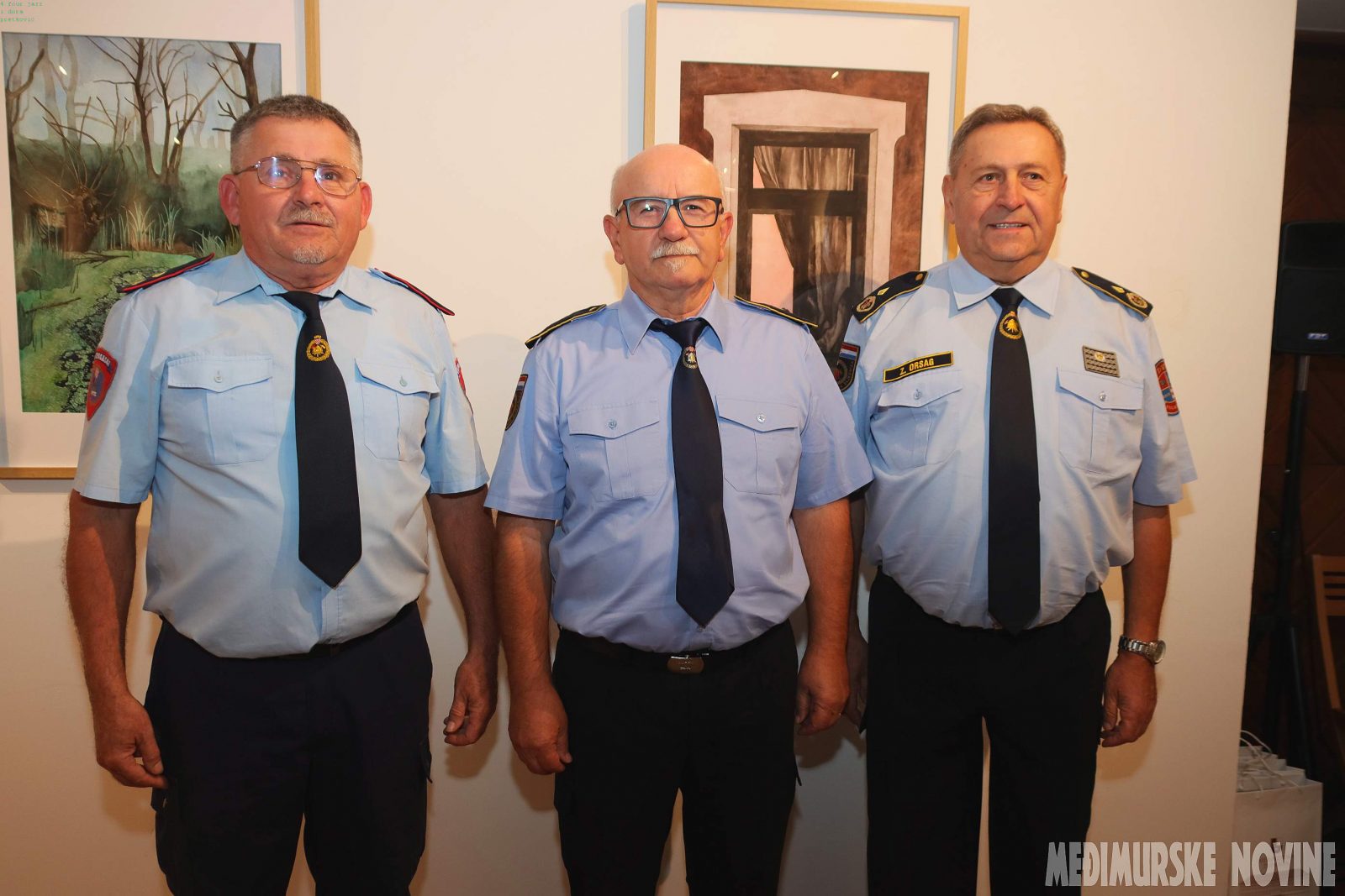Stjepan Novak, Damir Novak i Zlatko Orsag