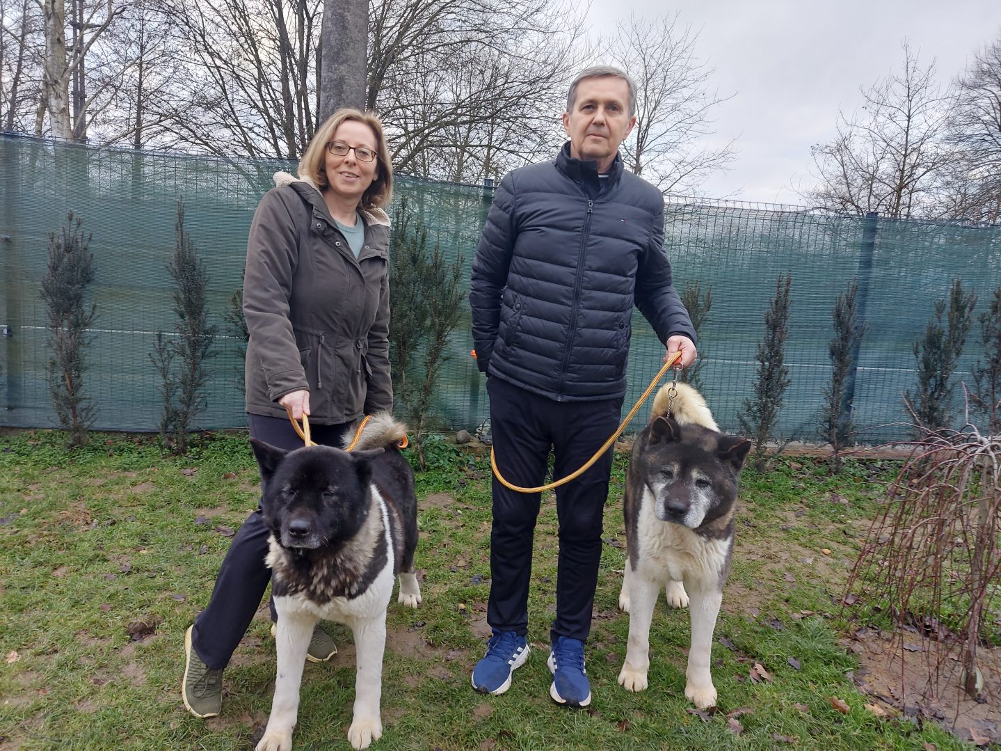 Gordana i Vladimir s impozantnim mužjacima američke akite