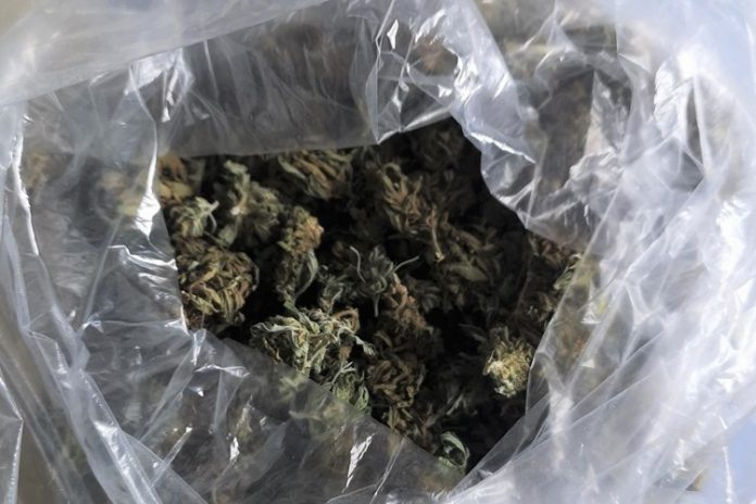 ilustracija - marihuana