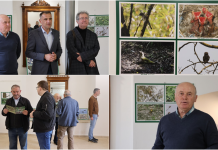 U Scheieru otvorena izložba Ftiči med Murom, Dravom i Trnavom sa 136 vrsta ptica Otvorena izložba Josipa Horvata Majzeka u Zgradi Scheier Ftiči med Murom, Dravom i Trnavom