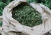 marihuana Čakovec