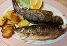 Slika 4. Uz zelenu salatu i sok od limuna, pastrva i brancin odlični su i za najzahtjevnije goste