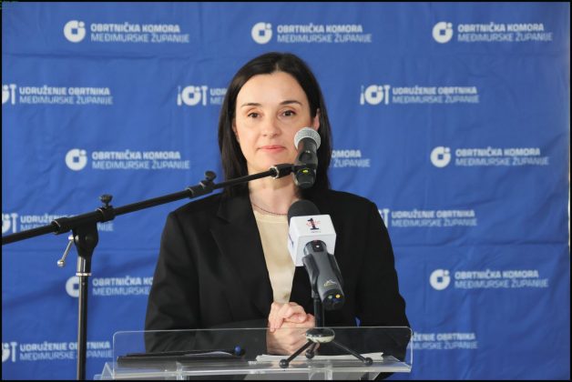 Strukovizija u dvorani graditeljske &scaron;kole - Međimurske novine
