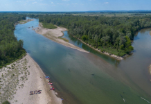 Drava-Mura, ušće