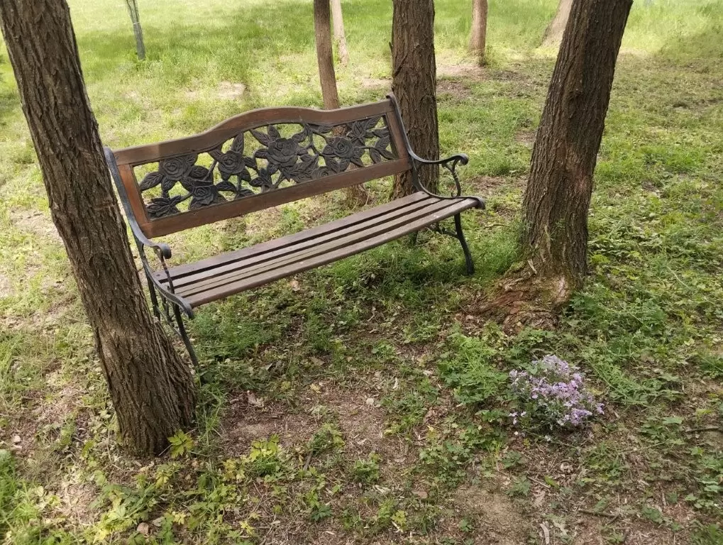 Filozofska šetnica u prirodi Frkanovec 