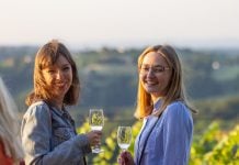 Doček ljeta na Mađerkinom bregu