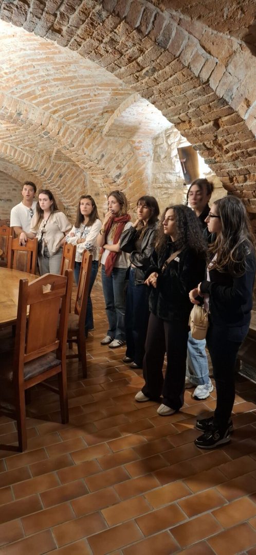 Erasmus projekt na MEV-u 