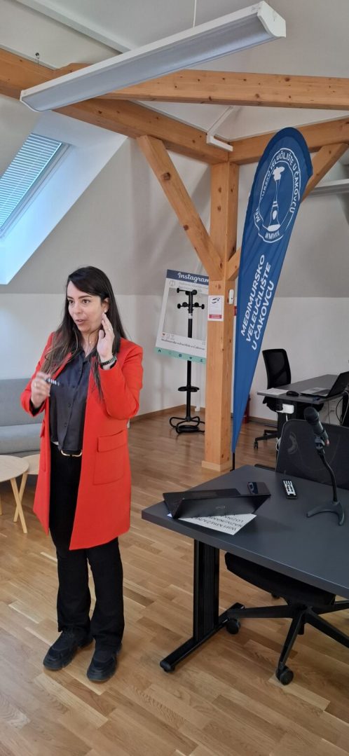 Erasmus projekt na MEV-u 