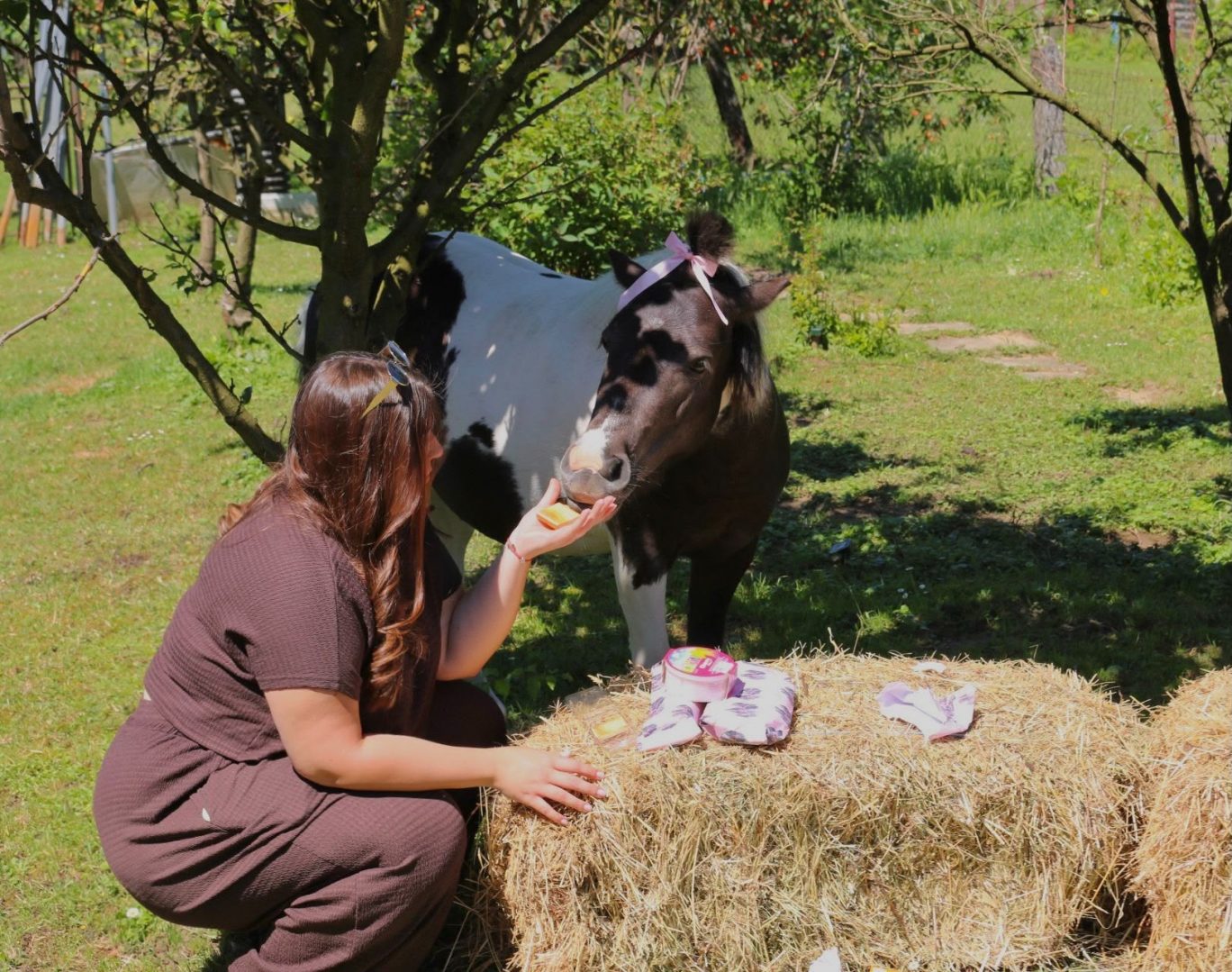 Gitin rođendan poni 