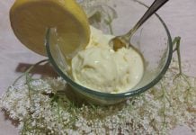 Sladoled od bazge zanimljiv je sezonski desert iz domaće kuhinje