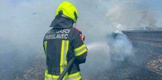 Brza reakcija na terenu: Požar između Pribislavca i Male Subotice stavljen pod kontrolu