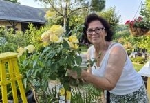 Ružica Tomašić stvorila cvjetni raj koji je ljepši i bolji od mora! Ružica Tomašić
